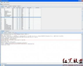 Burp Suite工具使用之二 Intruder模塊在網(wǎng)絡(luò)與信息安全軟件開(kāi)發(fā)中的應(yīng)用