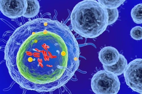 細(xì)胞治療 以生命修復(fù)生命，干細(xì)胞技術(shù)引領(lǐng)現(xiàn)代醫(yī)學(xué)革命